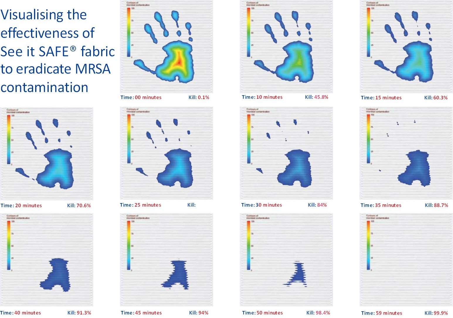 See it SAFE in action handprints