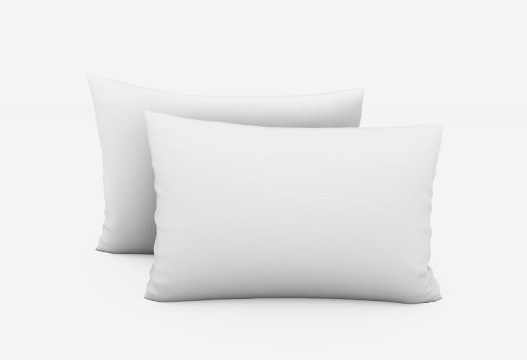 See it SAFE Antimicrobial Pillow Protector