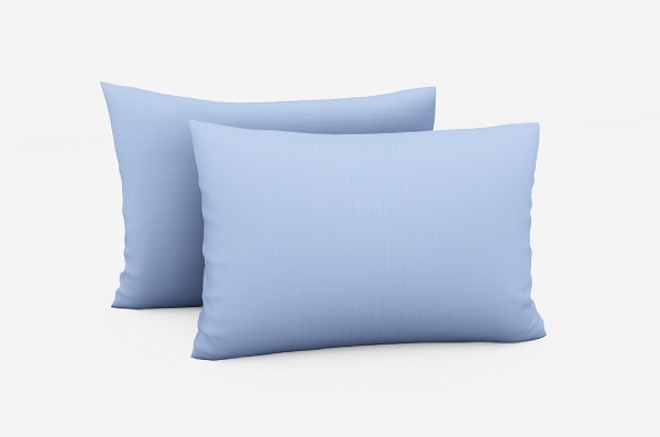 See it SAFE pillow protectors or pillow cases.