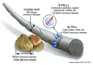 2.5Micron size comparison